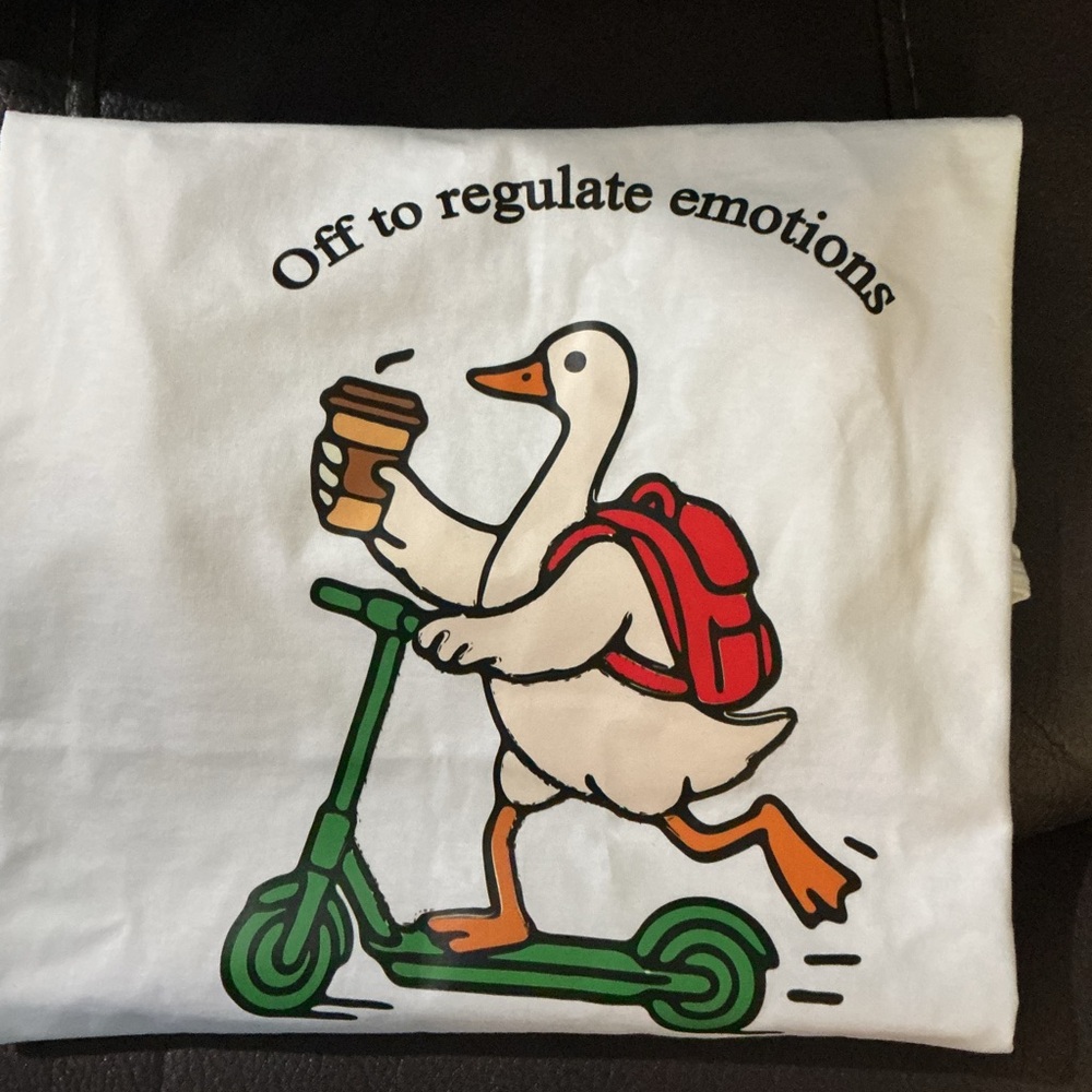 Off to Regulate Emotions SPED teacher shirt